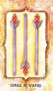 7th World Tarot: una baraja de 80 cartas 3 7th World Tarot