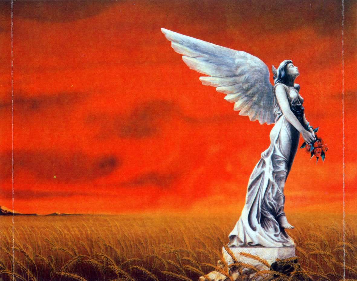 El significado de los ángeles en el tarot