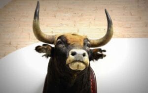 Significado del toro