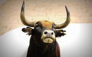 Significado del toro