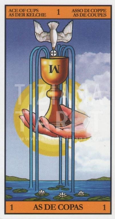 Significado de la paloma en el tarot 1 Significado de la paloma - As de Copas