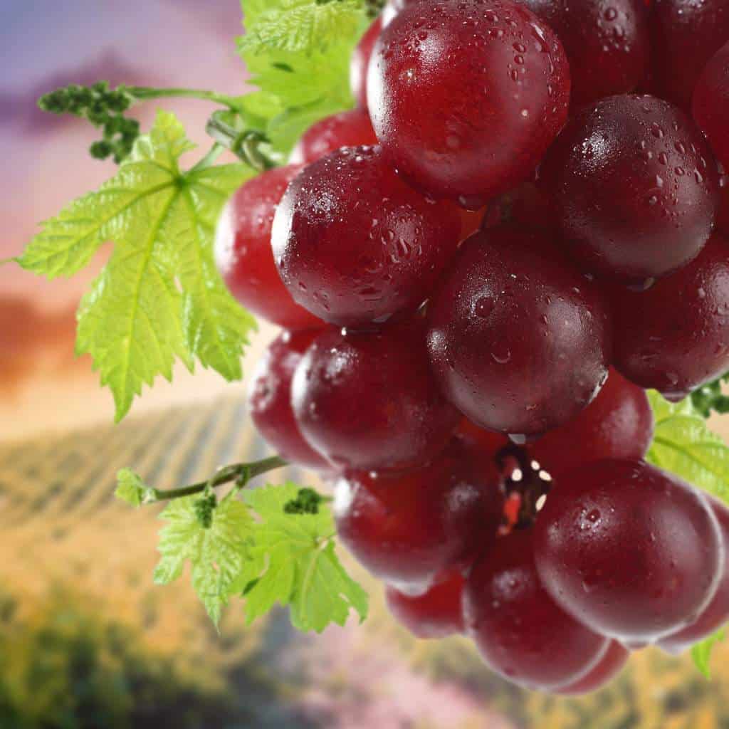El significado de las uvas