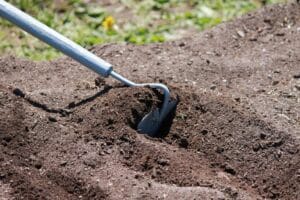 Los símbolos del tarot