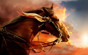 El significado del caballo