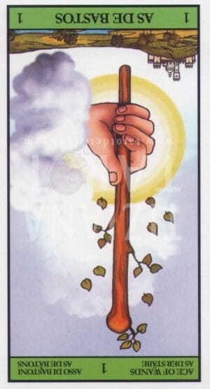 Saber con las cartas si hay una brujería 10 Saber con las cartas si hay una brujería -