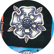 rosa blanca