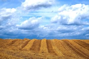 El significado de los campos en el tarot