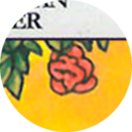 rosas en la carta del mago