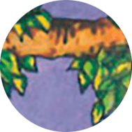 el colgado y el árbol