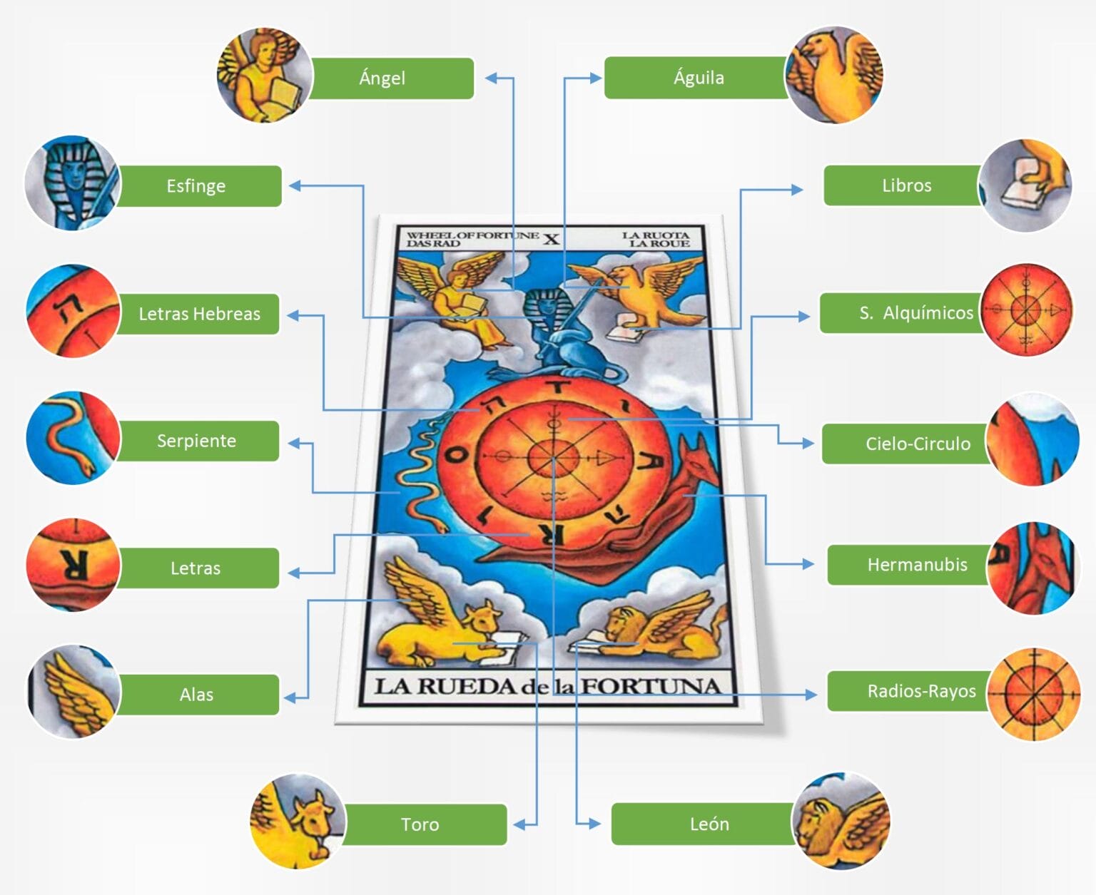 Simbología de la Rueda de la Fortuna en el Tarot | Tiziana