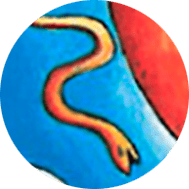 serpiente en la baraja de tarot