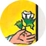 Significado de los Símbolos en el Tarot 37 rosa