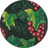 Significado de los Símbolos en el Tarot 40 vides y uvas