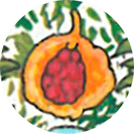 Significado de los Símbolos en el Tarot 27 granadas