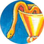 Significado de los Símbolos en el Tarot 18 serpiente