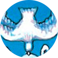 Significado de los Símbolos en el Tarot 14 paloma