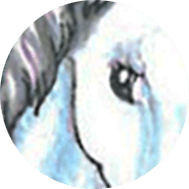 Significado de los Símbolos en el Tarot 4 caballo