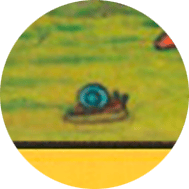 Significado de los Símbolos en el Tarot 5 caracol