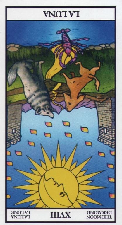 Interpretar cartas al revés